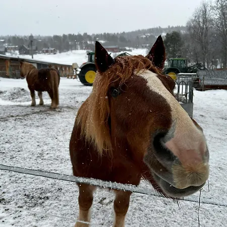 Harmony In Geilo, Modern And Cozy With Jacuzzi