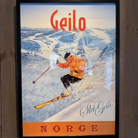Harmony In Geilo, Modern And Cozy With Jacuzzi Geilo